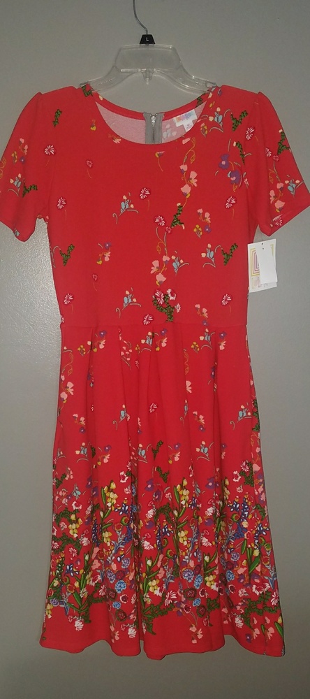 BNWT Lularoe Amelia Dress